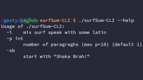 Screenshot of surfSum-CLI